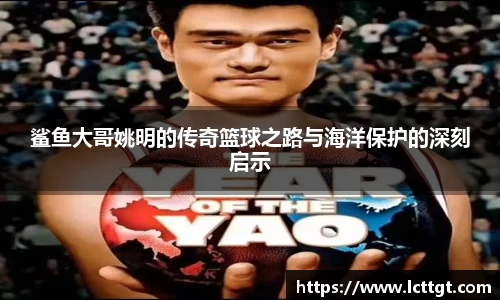 鲨鱼大哥姚明的传奇篮球之路与海洋保护的深刻启示